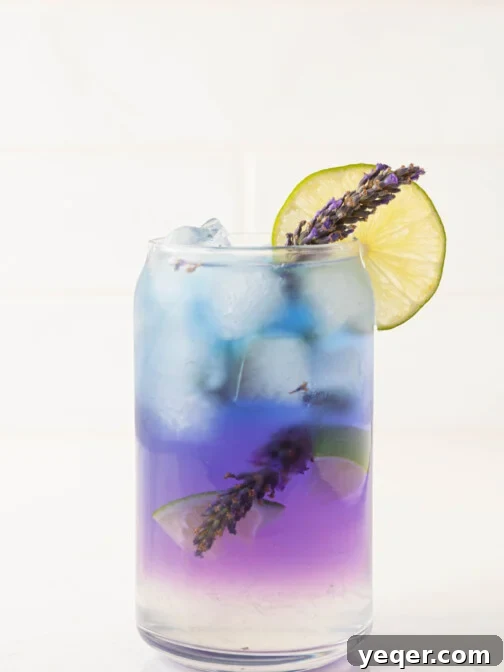 A butterfly pea flower cocktail in a glass with a purple gradient