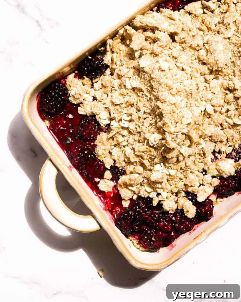 An unbaked tray of gluten-free blackberry crumb bars, with the rich purple blackberry filling generously spread over the golden oat crust base and topped with a delicate, uncooked crumble. The dish is perfectly prepped and ready to be placed into the oven, promising a delicious outcome.