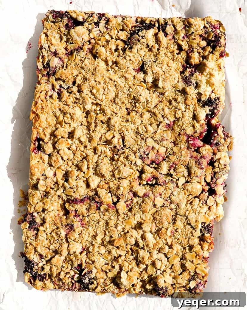 A freshly baked batch of uncut gluten-free blackberry crumb bars, still resting in the baking dish, featuring a perfectly golden-brown crumb topping and visible edges of the bubbling, vibrant berry filling. The entire pan radiates warmth and homemade deliciousness.