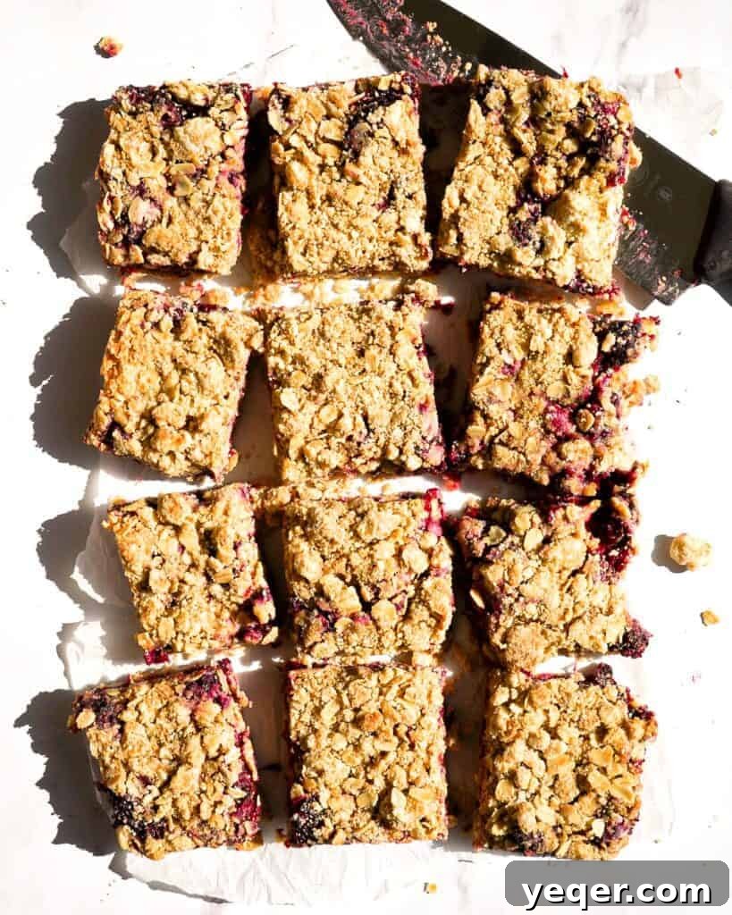 A close-up shot of several gluten-free blackberry crumb bars, beautifully sliced into neat squares, with a silver serving knife resting elegantly alongside. The image clearly shows off their distinct, inviting layers of golden crumble topping and a rich, vibrant berry filling, ready to be served.
