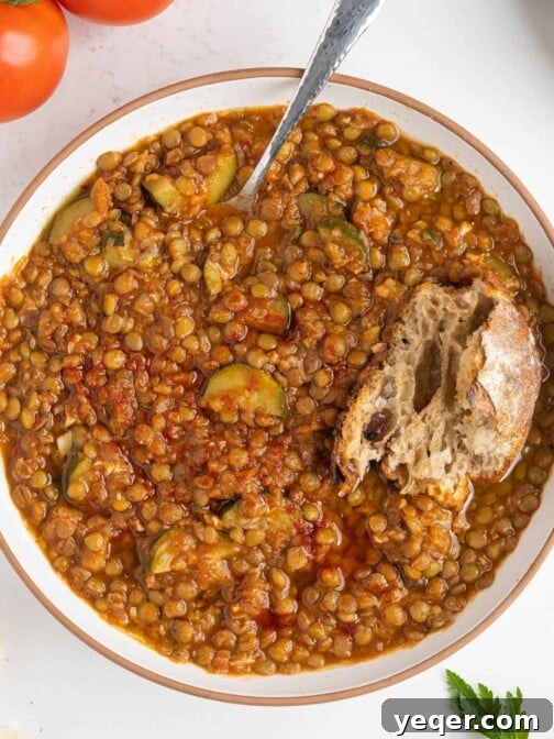 A bowl of Classic Moroccan Lentil Salad, showcasing its rich texture and color.