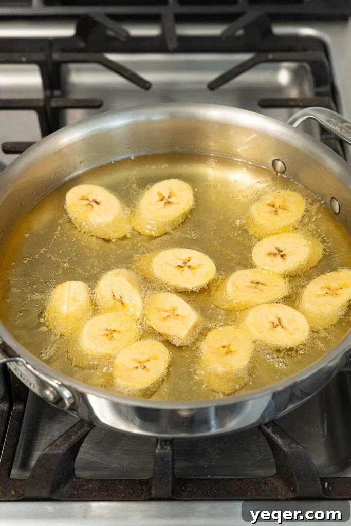 Caramelized Golden Plantains 7 Plantain slices gently frying in hot oil in a skillet.