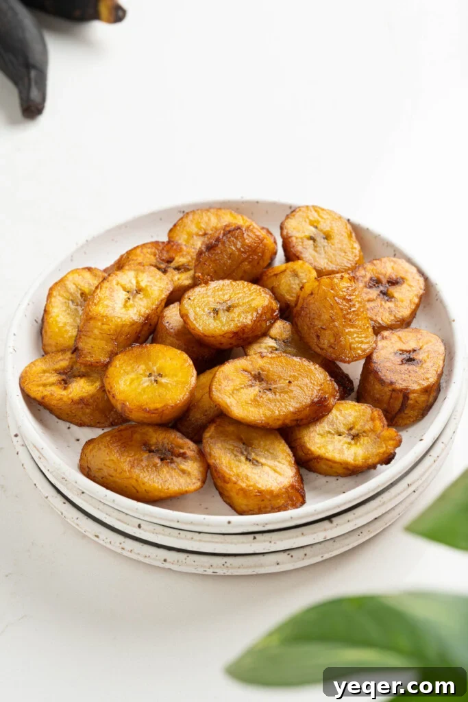 Caramelized Golden Plantains 9 A bowl of freshly fried sweet plantains, glistening and ready to serve.
