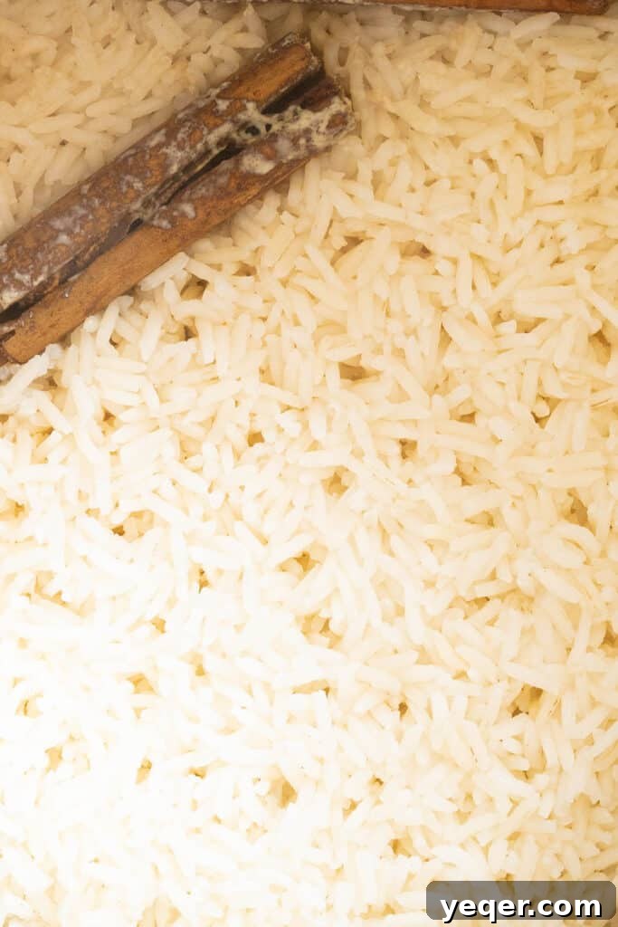 Velvety Rice Dream 7 A serving of Arroz con Leche in a bowl, garnished with a whole cinnamon stick and a sprinkle of ground cinnamon, showcasing its delicious, ready-to-eat appearance.
