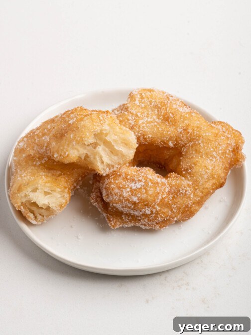 Two Moroccan Sfenj donuts on a plate, a close-up showcasing their tempting texture.
