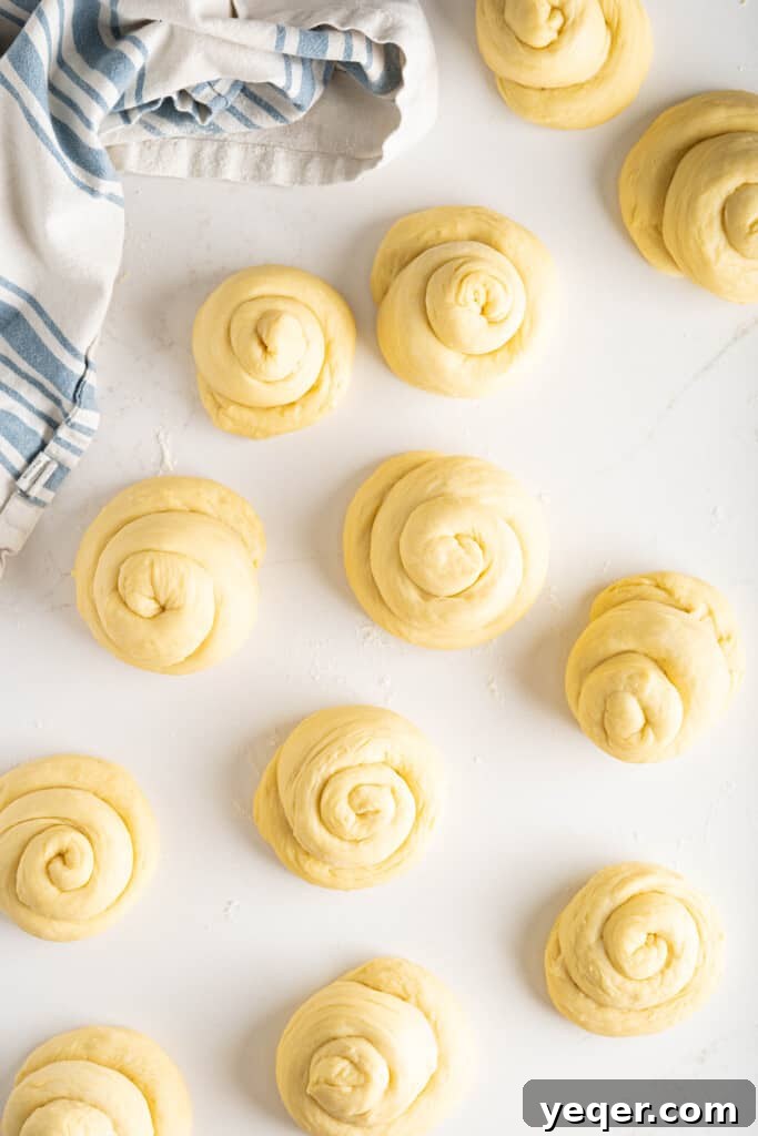 Golden Puerto Rican Sweet Mallorca 11 Twelve shaped Pan de Mallorca rolls arranged on a baking sheet, brushed with melted butter, ready for their second rise.