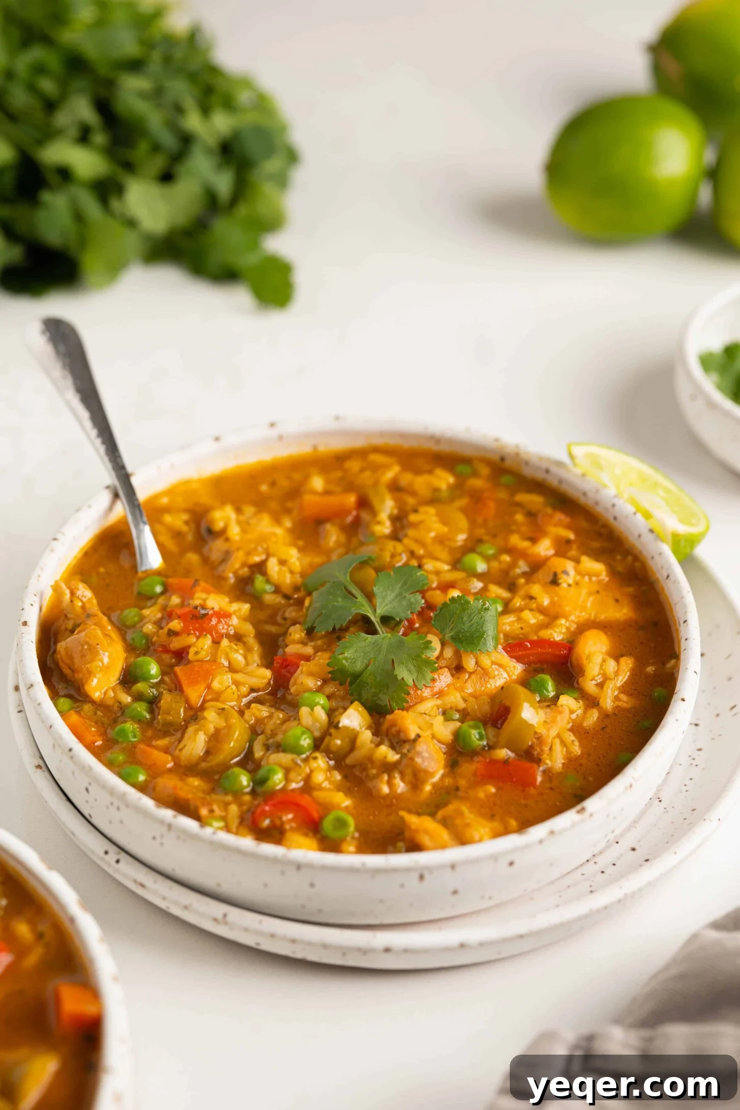 Asopao de Pollo Puerto Rico's Signature Chicken and Rice Stew 9 A beautifully presented bowl of Asopao de Pollo, inviting you to try it.