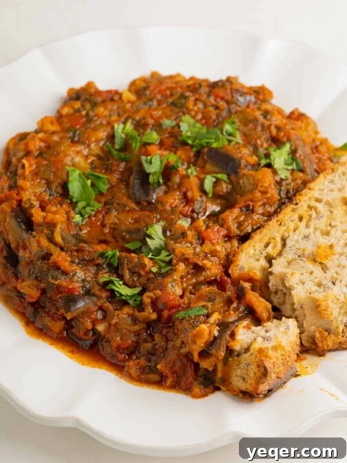 A plate of Moroccan eggplant dip, Zaalouk, garnished with fresh herbs and a drizzle of olive oil, ready for serving.