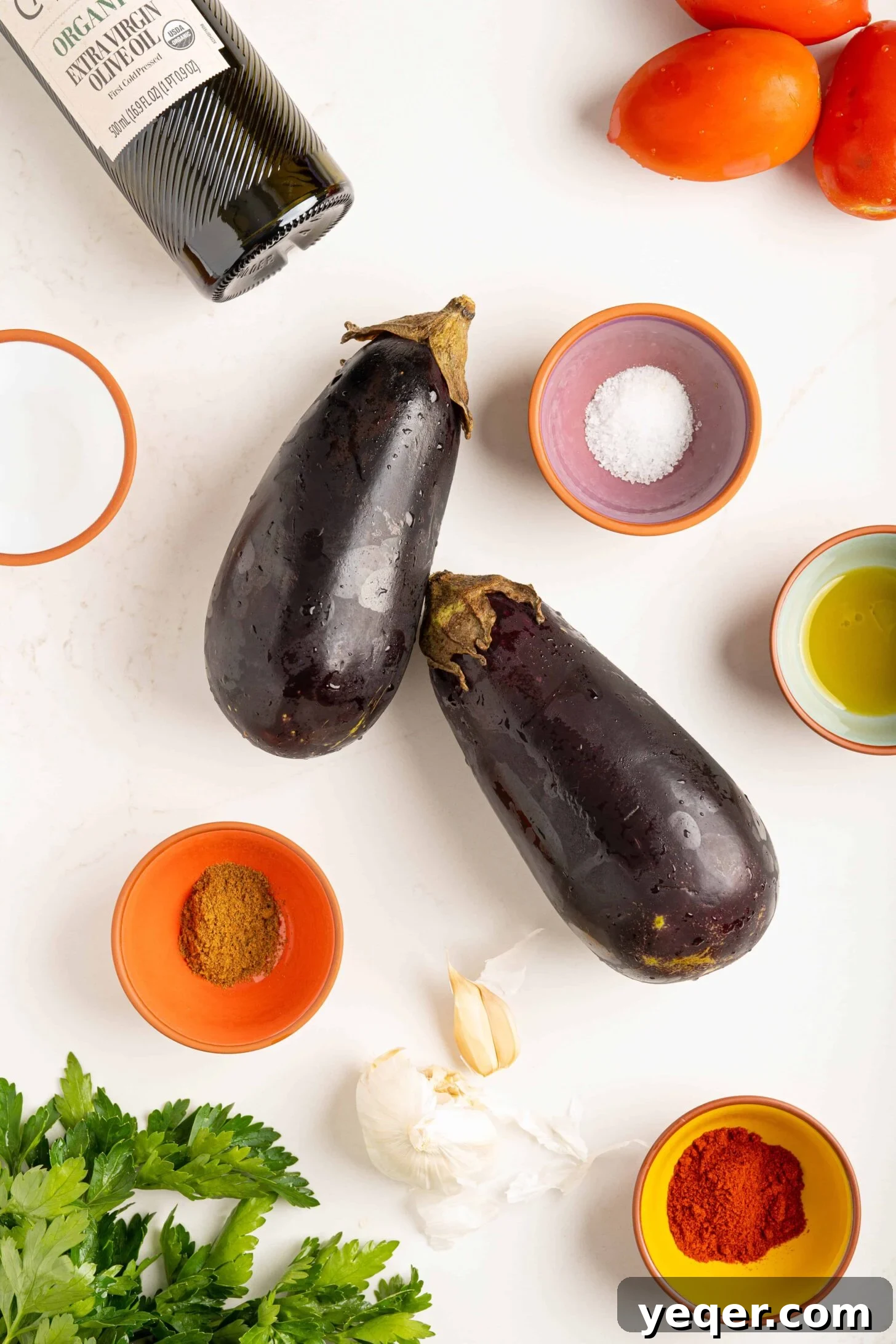 Zaalouk: Flavorful 30-Minute Moroccan Eggplant Dip 3 A vibrant selection of fresh ingredients including ripe eggplants, juicy tomatoes, aromatic garlic, fresh parsley, and cilantro, laid out for making Moroccan eggplant dip.