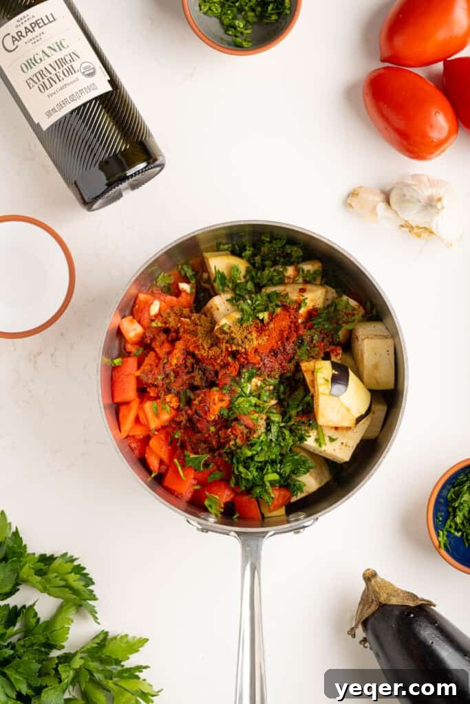 Zaalouk: Flavorful 30-Minute Moroccan Eggplant Dip 4 All the fresh ingredients for Zaalouk, including diced eggplant, chopped tomatoes, minced garlic, herbs, and spices, combined in a medium-sized stockpot, ready for cooking.