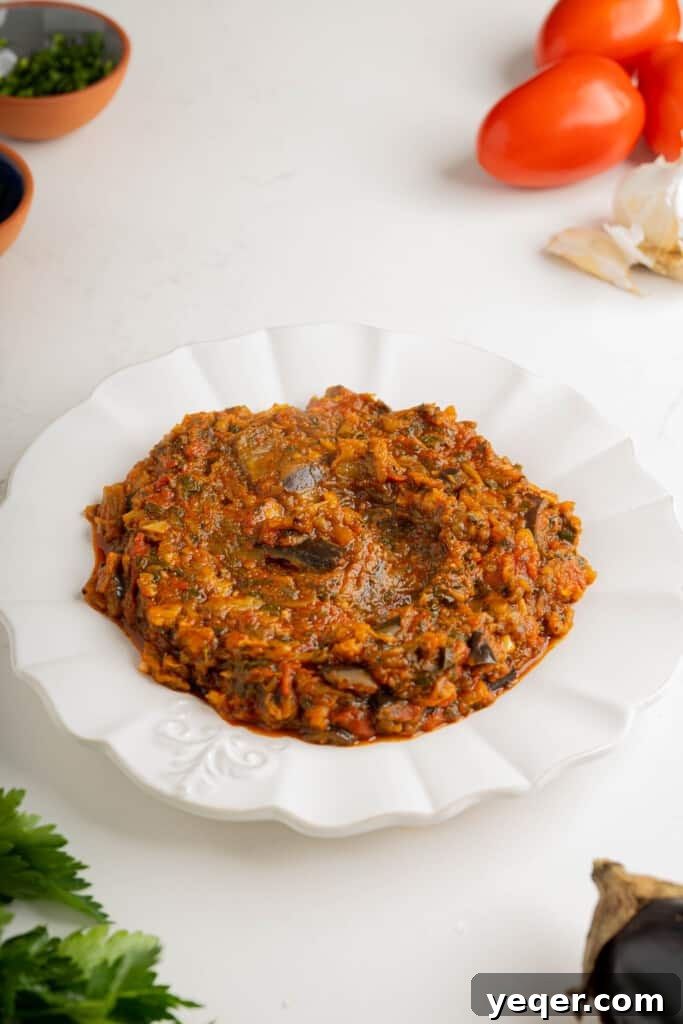Zaalouk: Flavorful 30-Minute Moroccan Eggplant Dip 7 A beautifully plated serving of Moroccan Zaalouk, garnished with fresh cilantro and a sprinkle of paprika, accompanied by slices of toasted bread for dipping.