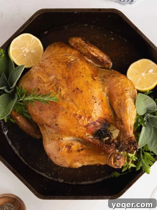 A roasted chicken in a pan, a close-up shot suitable for a recipe card.