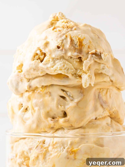 Scoops of dulce de leche ice cream in a bowl