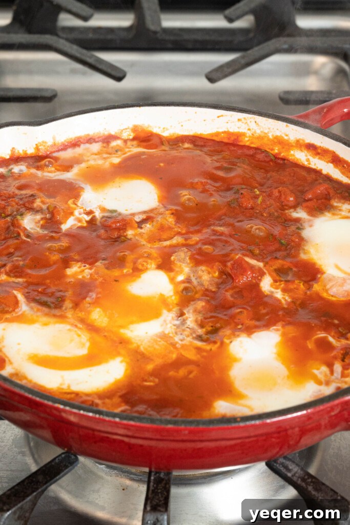Speedy Moroccan Shakshuka 7 shakshuka in a pan on a stovetop