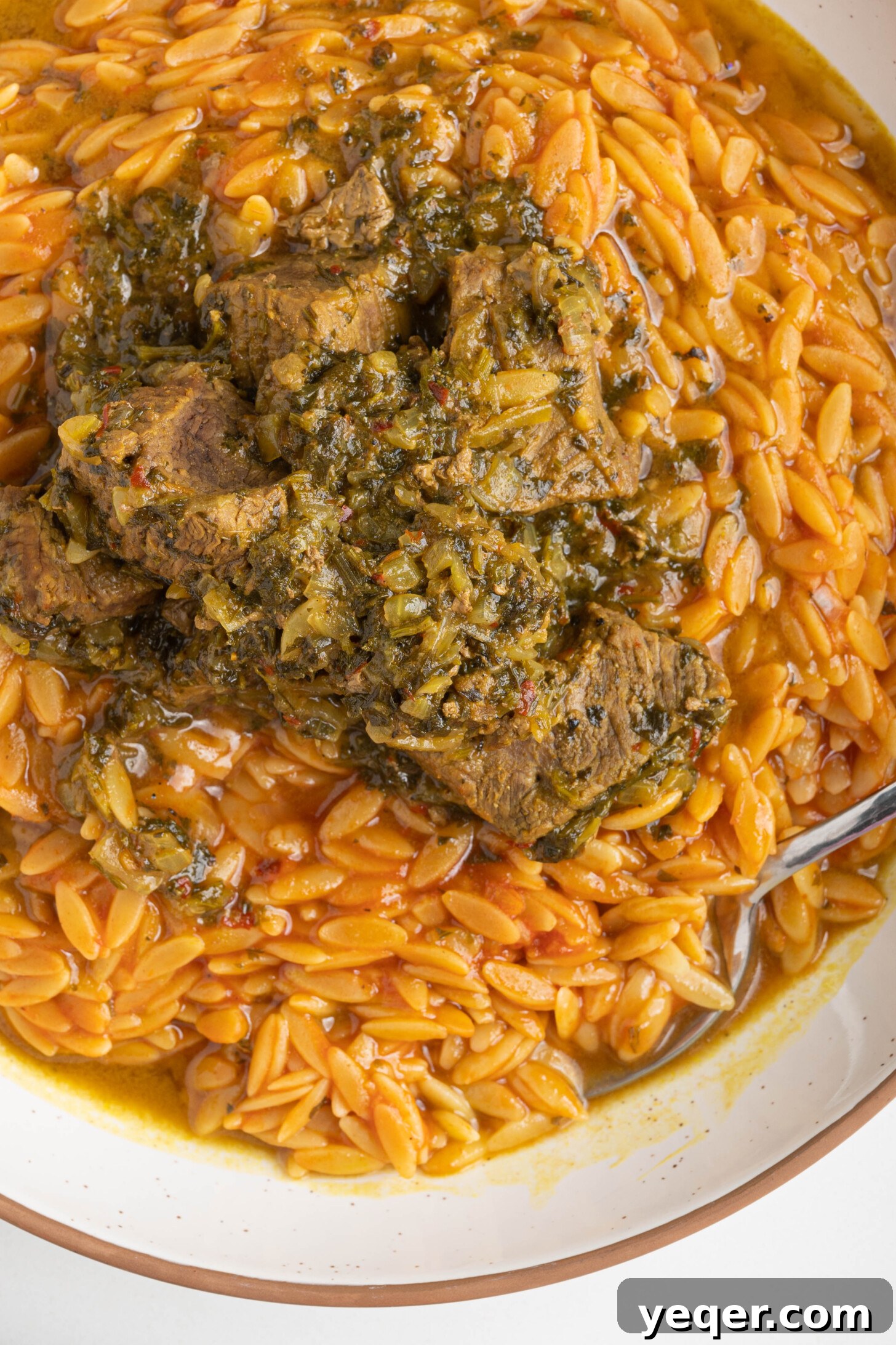 Moroccan Lamb Orzo Pilaf 11 A final, appealing image of the Moroccan orzo with lamb, inviting viewers to taste.