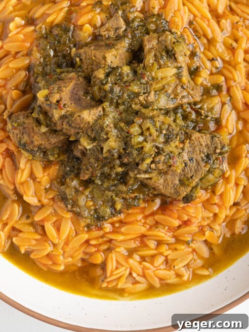 A bowl of Moroccan orzo with lamb