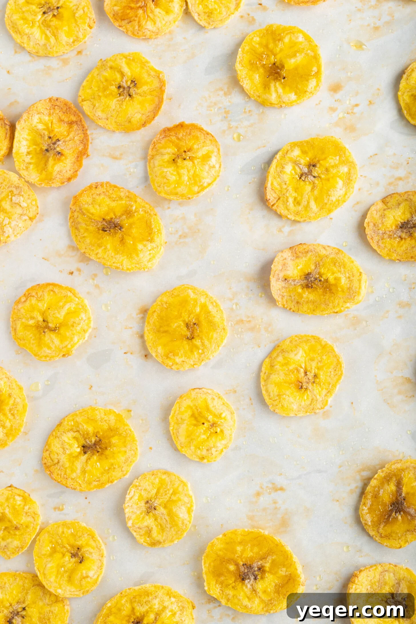 Effortless Oven-Baked Plantain Crisps 10 A baking sheet laden with freshly baked, golden plantain chips, ready to be seasoned or served.