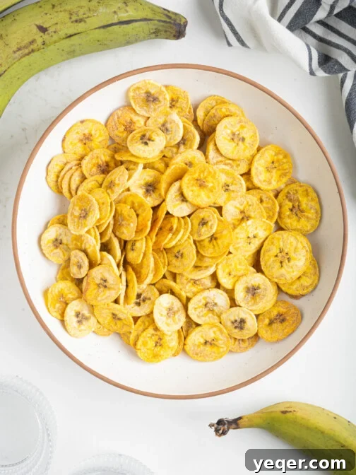 A bowl of baked plantain chips, golden and crispy.