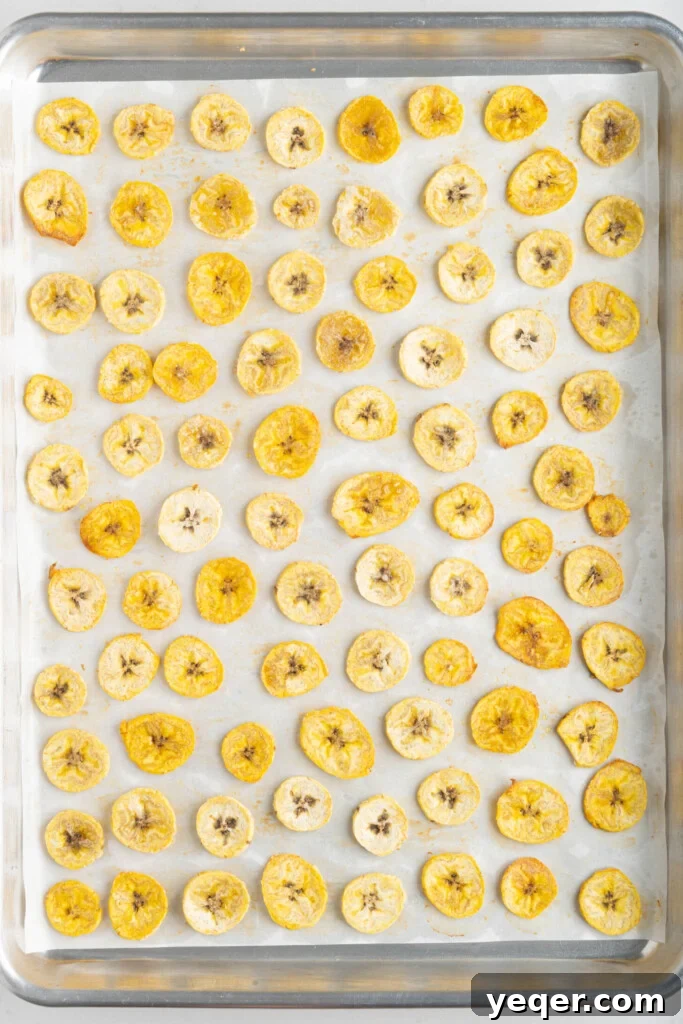 Effortless Oven-Baked Plantain Crisps 9 A baking sheet filled with perfectly baked, golden and crispy plantain chips.