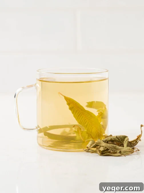 a cup of lemon verbena tea