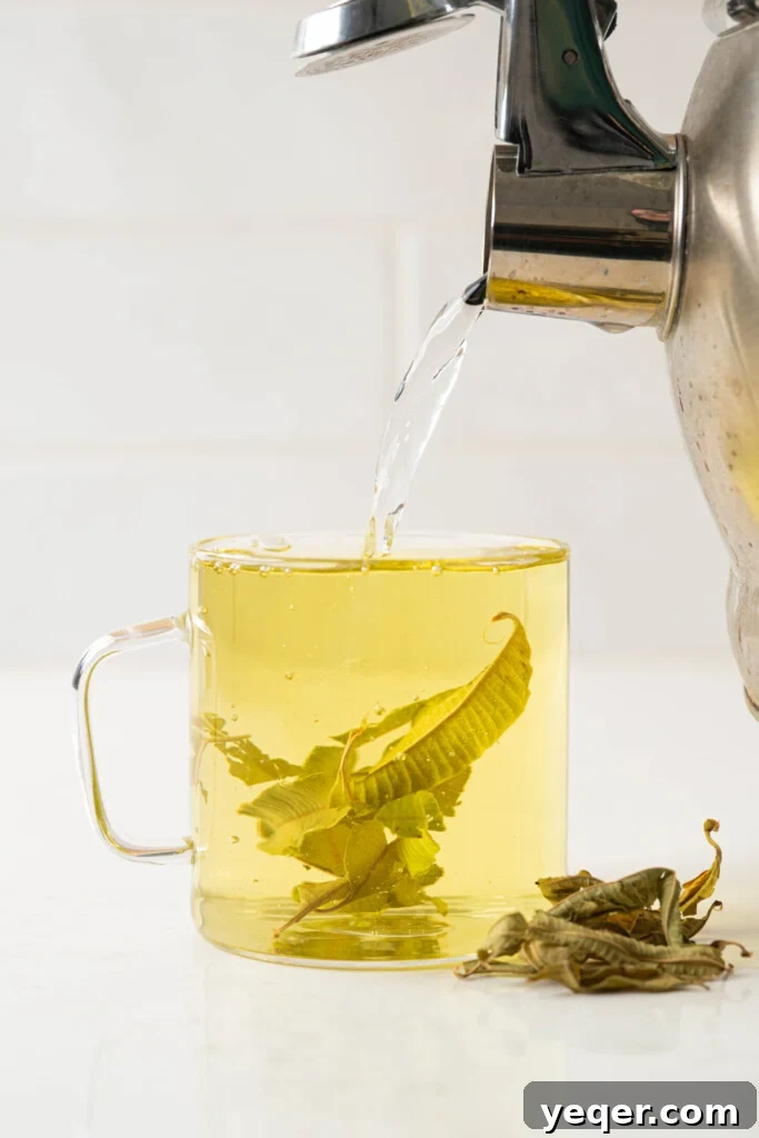 Invigorating Lemon Verbena Tea in 15 Minutes 4 A stream of hot water being poured into a mug filled with dried lemon verbena leaves, ready for steeping.