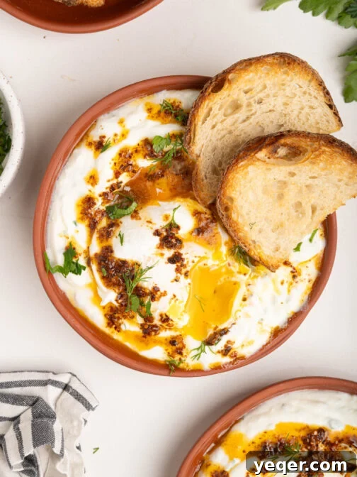 Plates of Turkish eggs (Cilbir) with vibrant Aleppo pepper butter and fresh herbs.