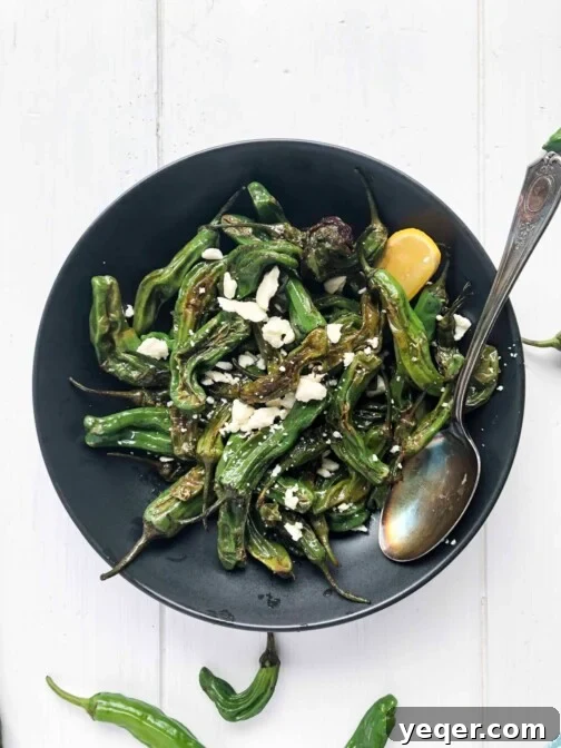 A bowl of blistered shishito peppers with lemon and feta, perfectly cooked and ready to eat.