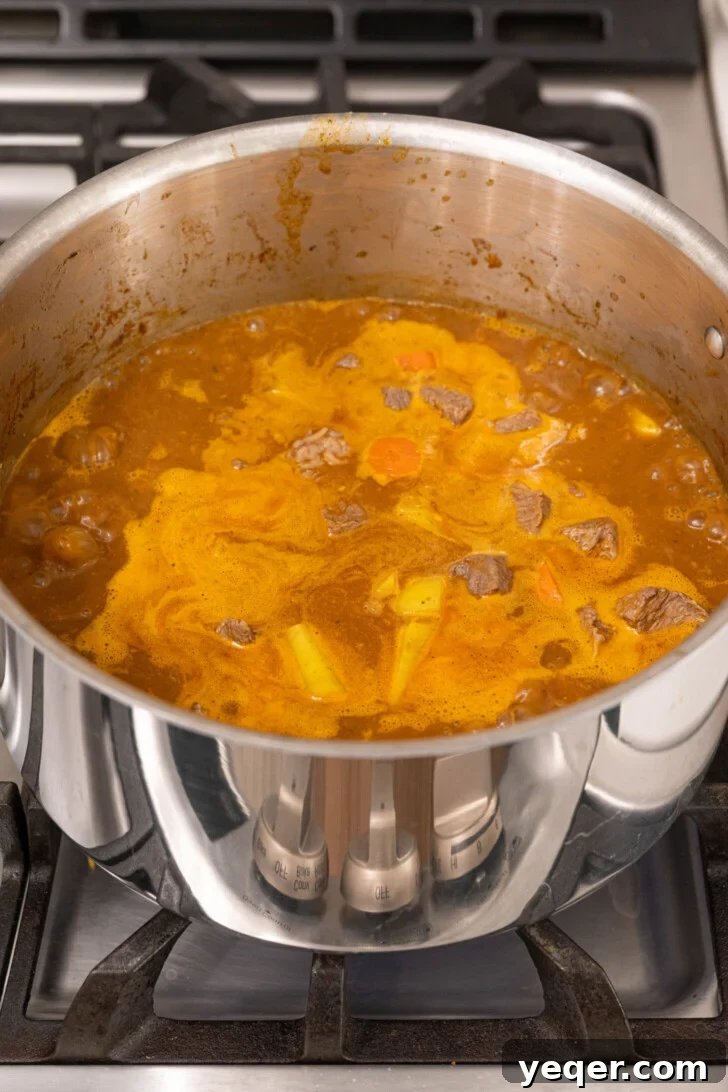 Carne Guisada The Ultimate Beef Stew 9 Beef stew in a pot.