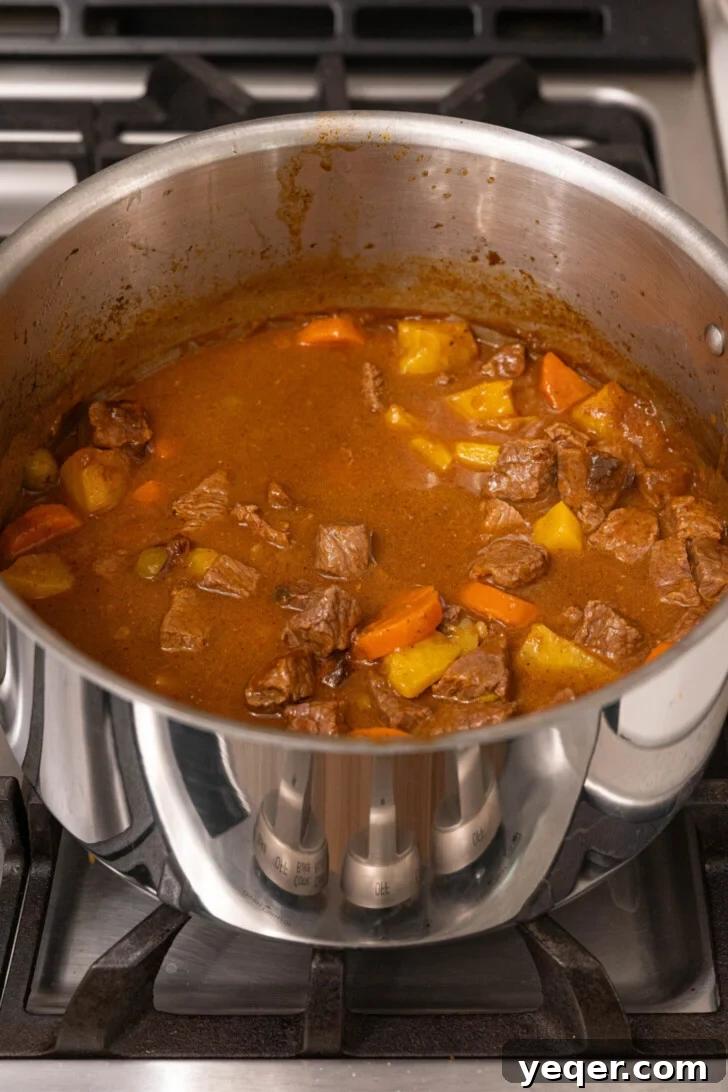 Carne Guisada The Ultimate Beef Stew 10 Beef stew in a pot.