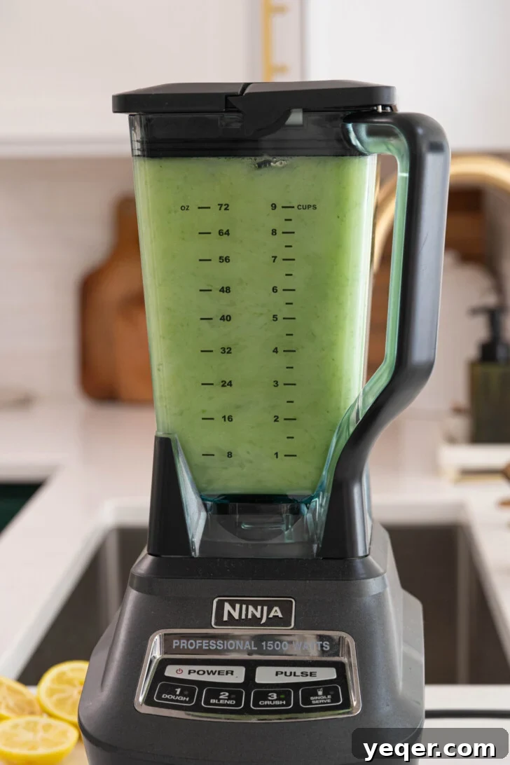Mediterranean Breeze Mint Lemonade 6 Mint lemonade ingredients in a blender, ready for blending.
