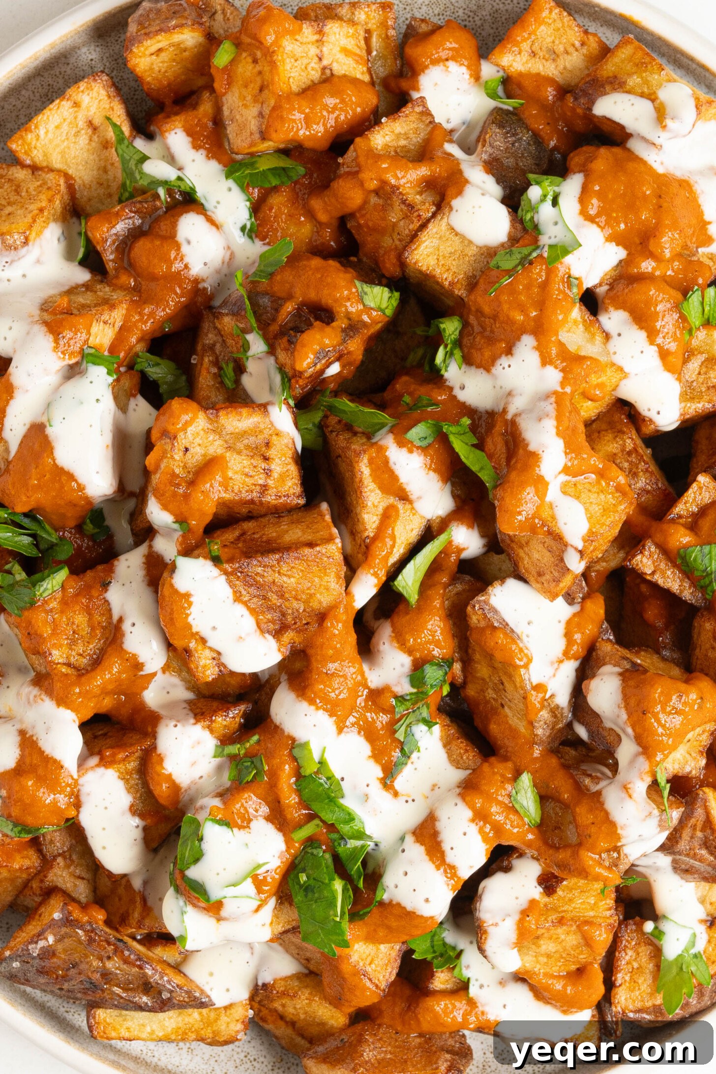 Fiery Spanish Patatas Bravas 12 A beautifully plated dish of Patatas Bravas with a rich red sauce and fresh herbs.