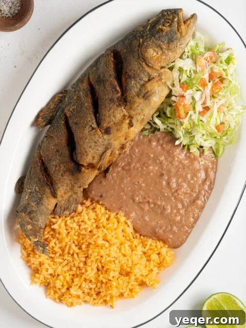 A platter with mojarra frita, rice, beans, and salad.