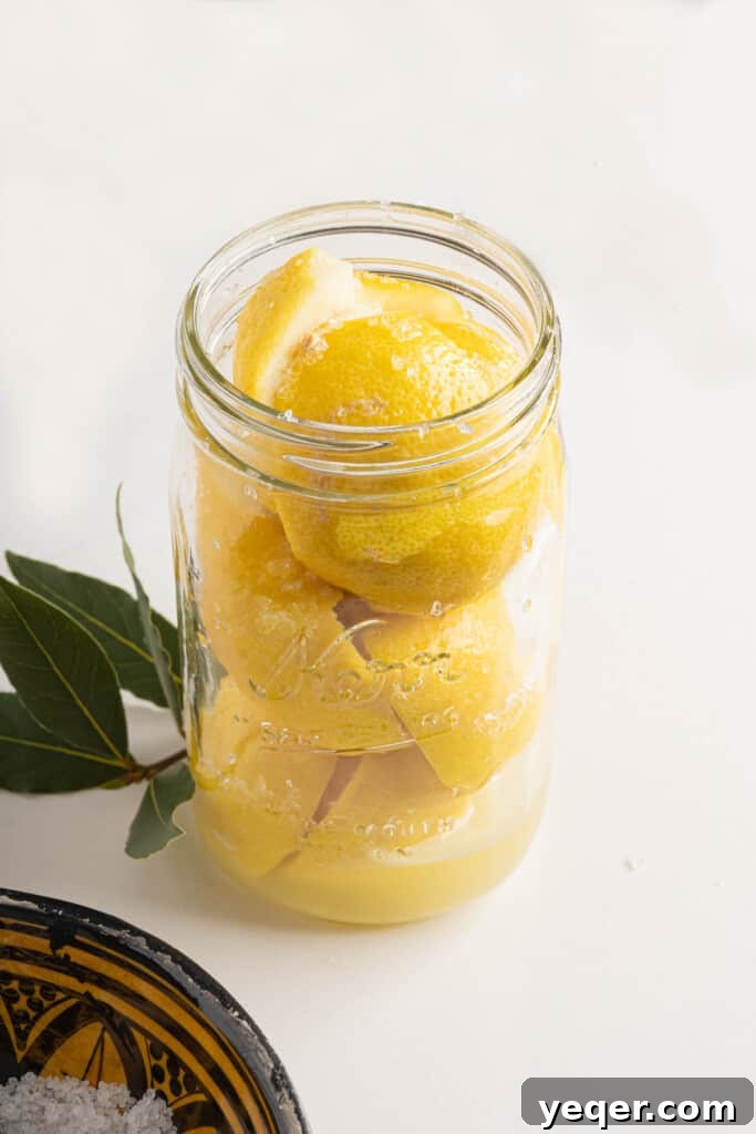 Moroccan Preserved Lemons An Authentic Homemade Recipe 4 preserved lemons being pressed into a canning jar