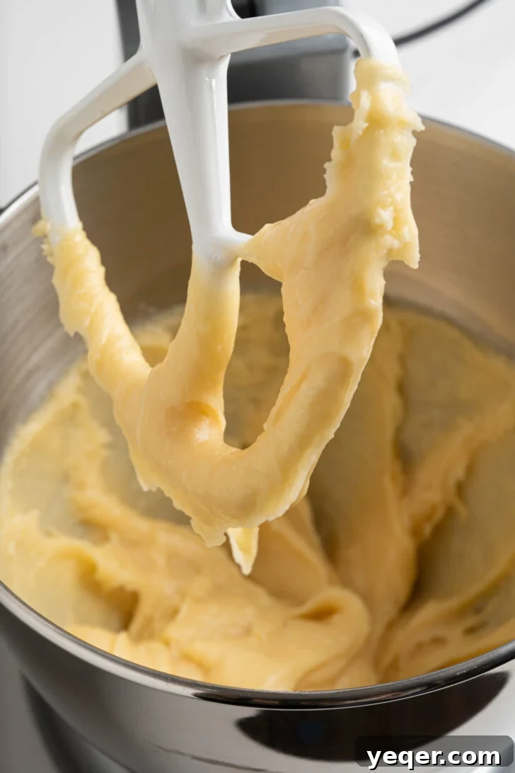 Homemade Golden Churros with Decadent Chocolate Sauce 7 Choux pastry dough being beaten in a stand mixer with the paddle attachment.