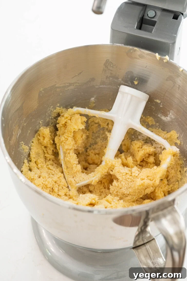 Golden Guava Crumble Bars 5 Crumbly dough being mixed in a stand mixer, showcasing its perfect texture.