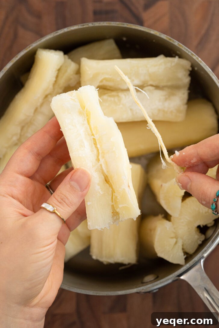 Zesty Garlic Steamed Yuca 5 Carefully removing the fibrous, inedible core from a cooked yuca piece.