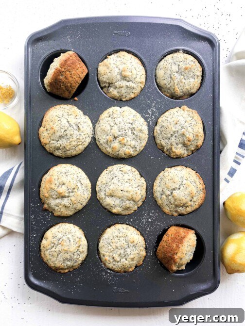 A muffin tin full of poppyseed muffins