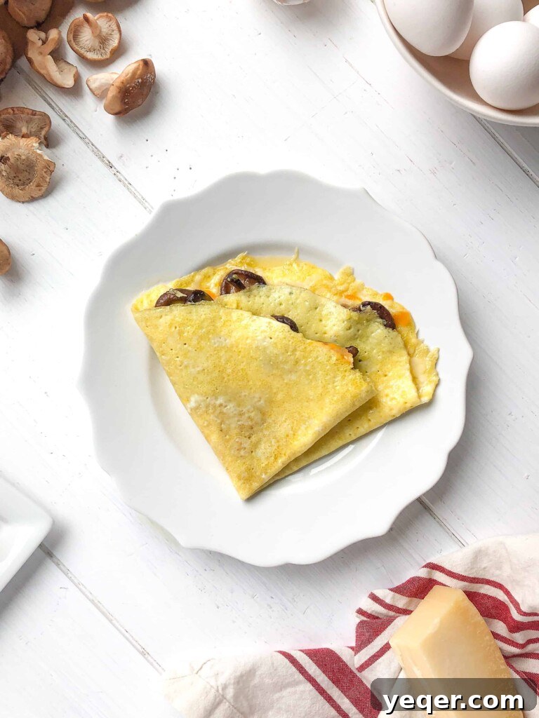 Crafting Irresistible Omelettes 2 A delicious omelette filled with melted cheddar cheese and sautéed mushrooms, presented perfectly on a plate.
