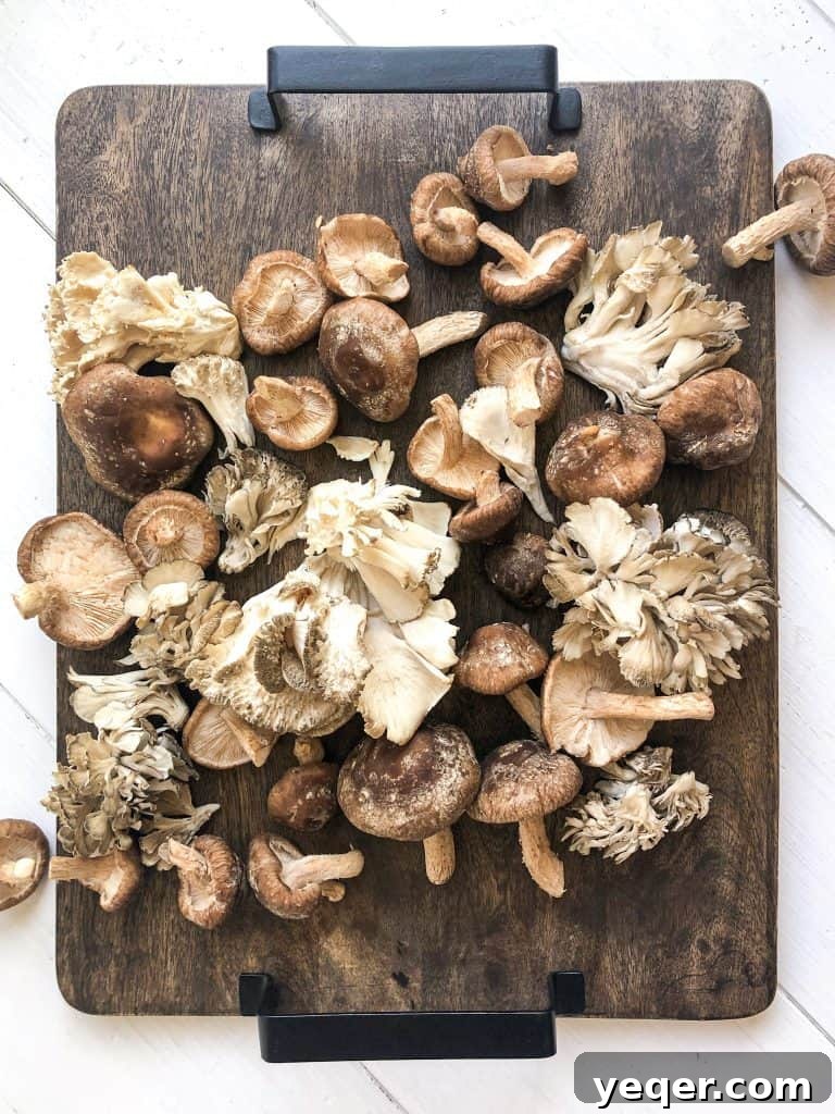 A beautifully arranged board displaying a variety of fresh, seasonal mushrooms from River City Mushroom Farm, highlighting their diverse forms and textures.
