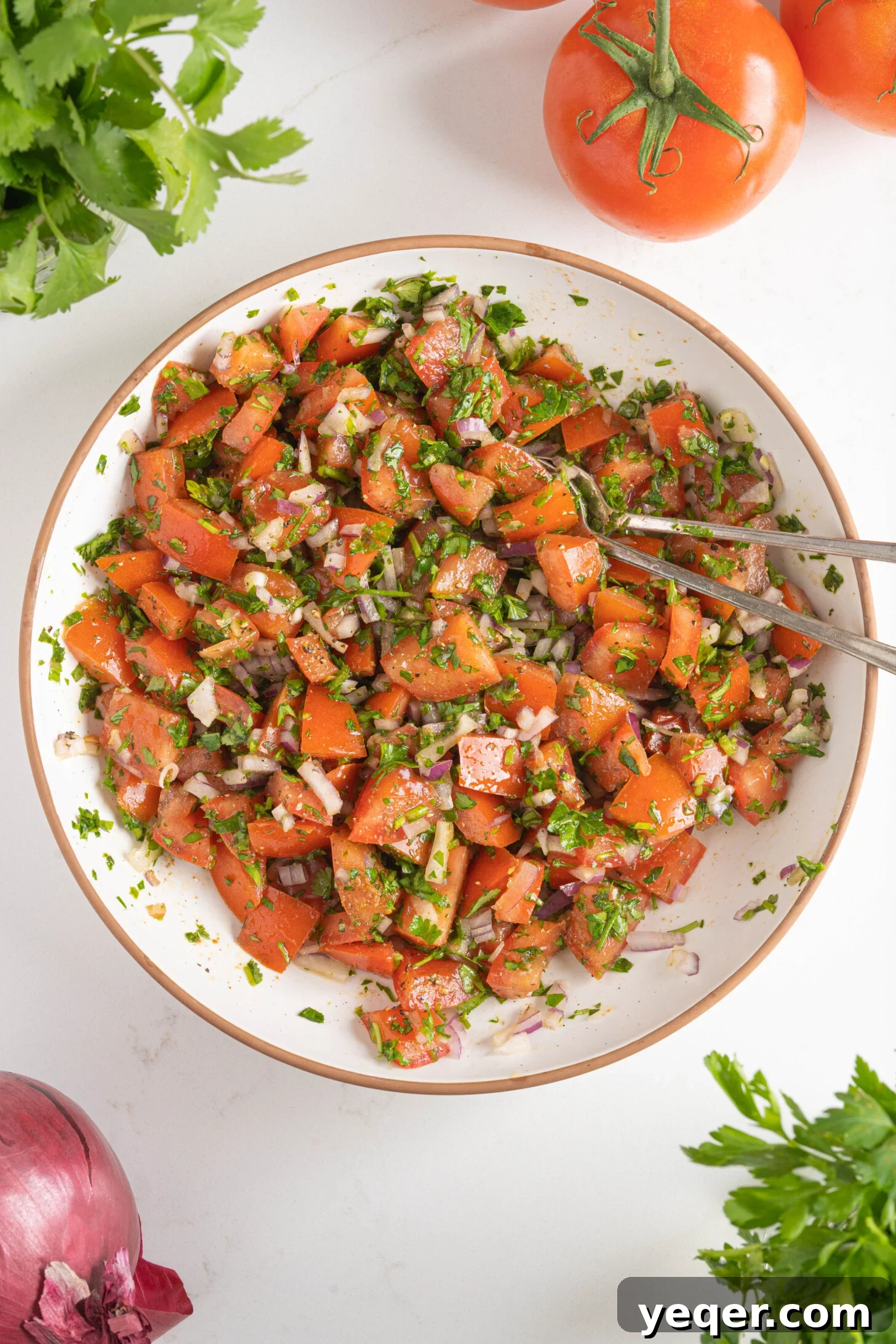 Vibrant Moroccan Tomato Salad 2 A beautifully presented Moroccan tomato salad in a rustic ceramic bowl, garnished with fresh herbs, ready to be served.