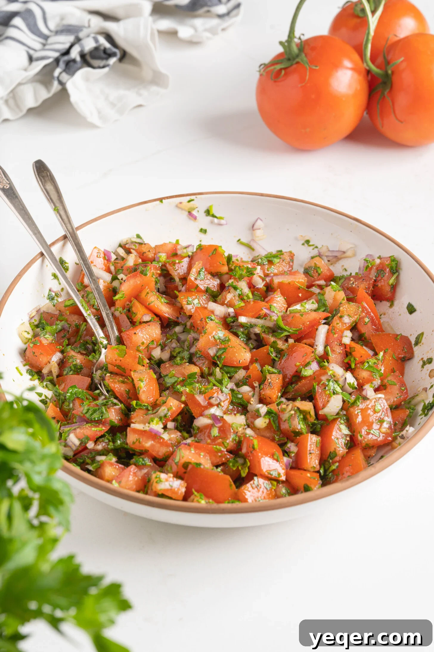 Vibrant Moroccan Tomato Salad 9 A pristine white bowl filled with classic Moroccan tomato salad, beautifully arranged on a clean white counter, ready for serving.