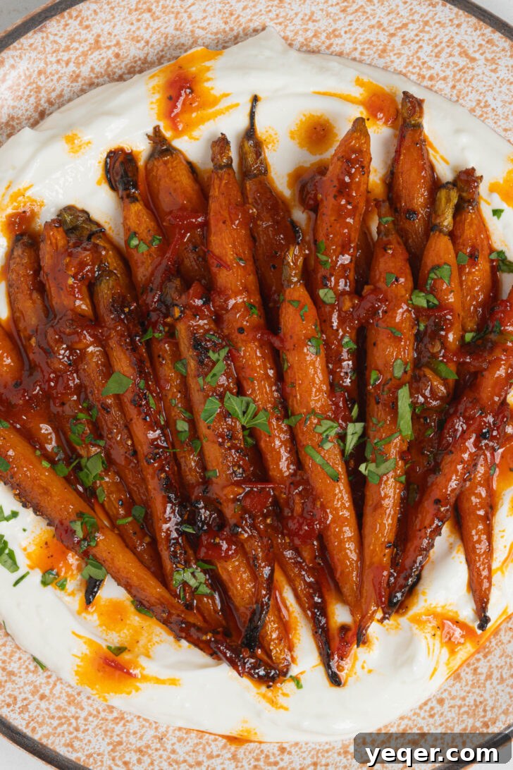 Harissa-Honey Roasted Carrots, Creamy Garlic Yogurt 6 Harissa honey roasted carrots on a plate.