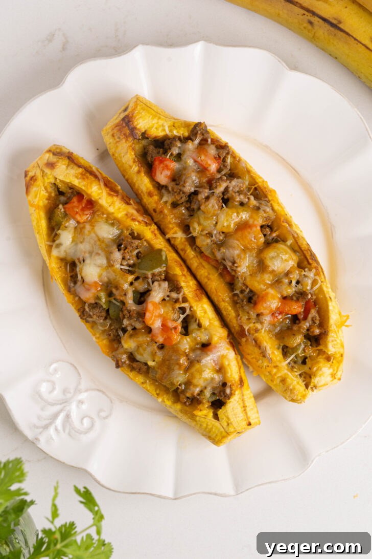 Puerto Rican Canoas Sweet Stuffed Plantain Delights 8 A serving of golden Canoas de Platanos Maduros on a plate, garnished with fresh cilantro.