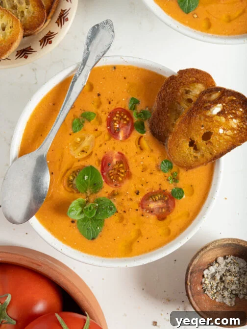 A bowl of vibrant classic Spanish gazpacho, garnished with a sprig of fresh basil.